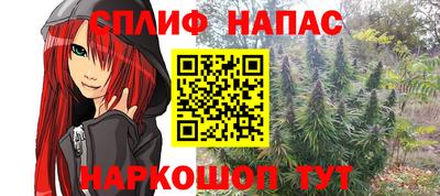 Альфа ПВП Беслан