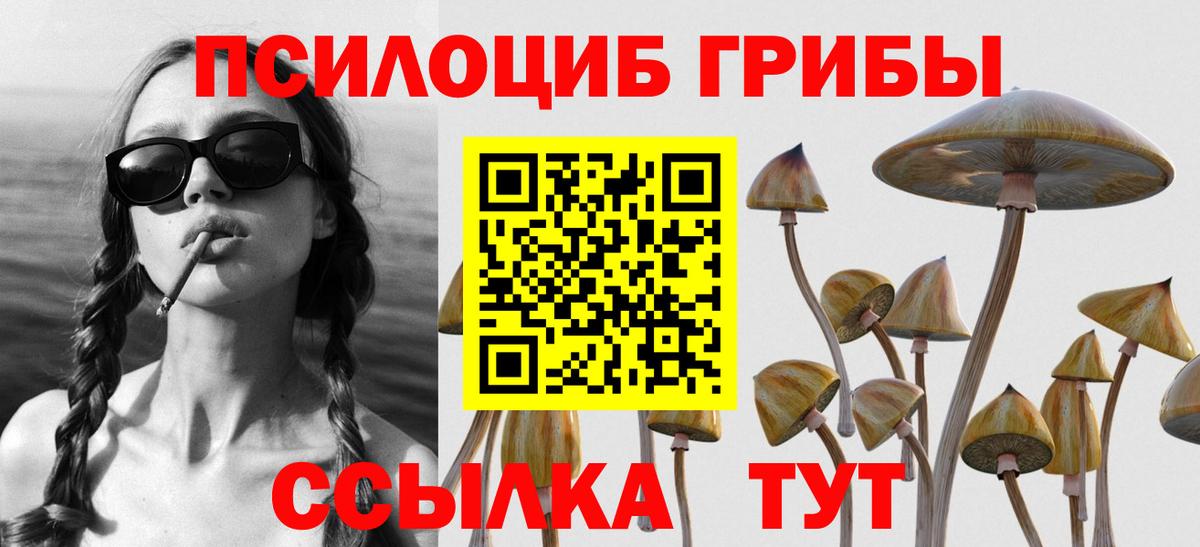 Изобильный  Псилоцибиновые грибы Cubensis  цены   Вход с VPN 